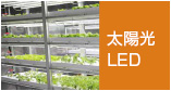 太陽光LED